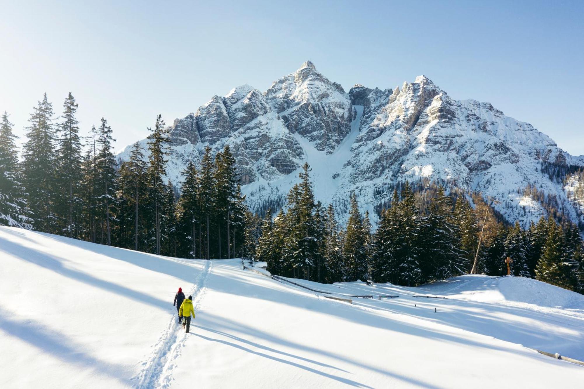 stoanmandl Wohlfühlappartements Neustift im Stubaital Exterior foto
